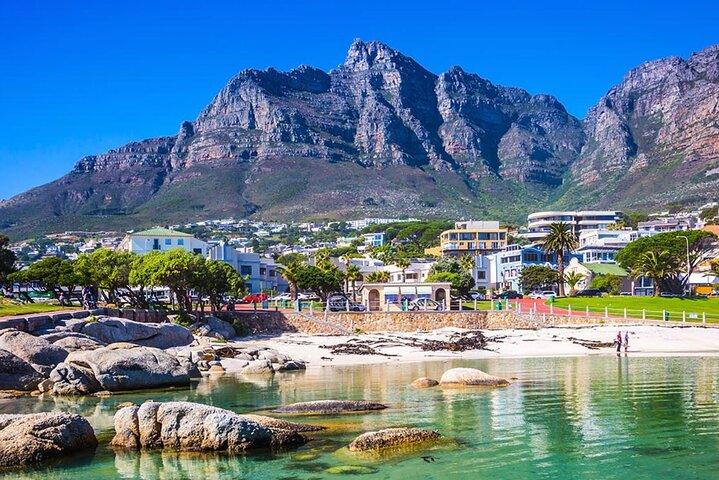 Da Port Elizabeth per Città del Capo 4 giorni Garden Route Safari