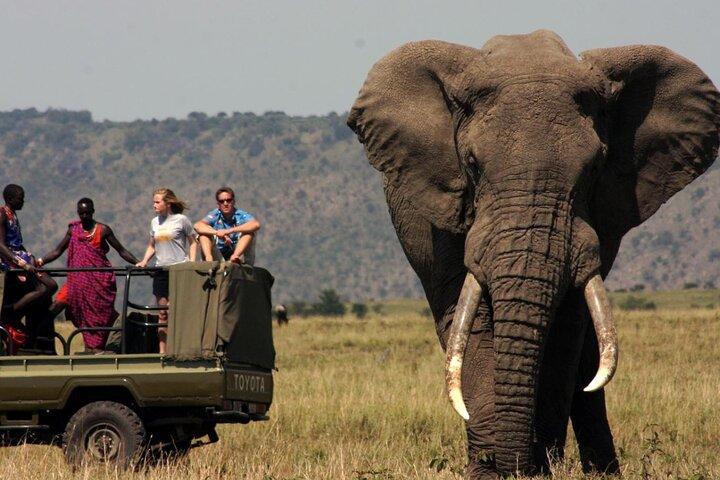 Heldags Hluhluwe Imfolozi Big 5 Game Reserve Tour fra Durban