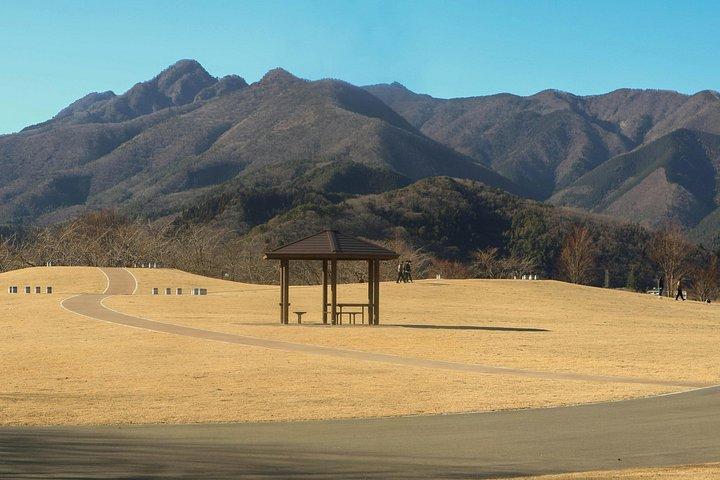 英語ドライバー付き東京発富士山プライベート日帰りツアー