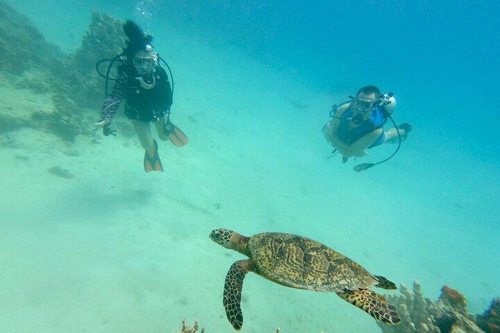 Experience Scuba Diving - No Certification Needed!