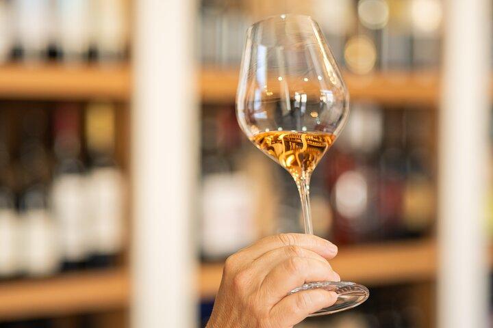 Degustazione di vini educativa a Spalato