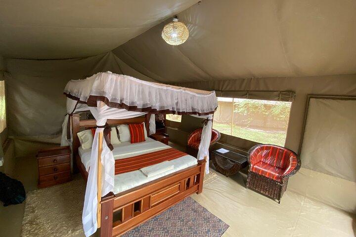 3 - Giorno Masai Mara Big Five Safari