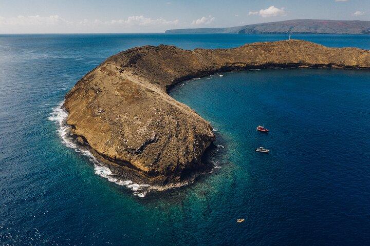 2 - マウイ島発モロキニ島保証シュノーケル旅行