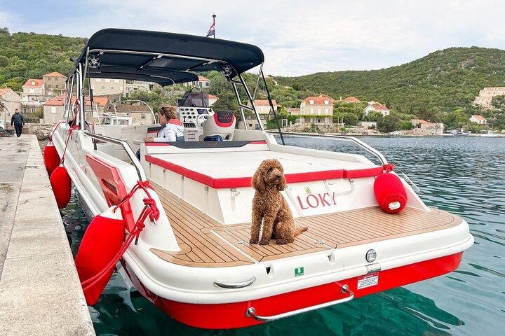 Blue Cave, Lopud, and Sunj Beach Speedboat Tour from Dubrovnik