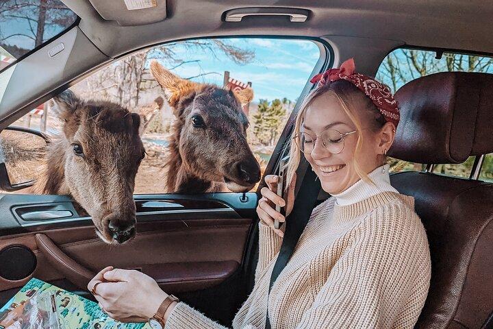 Visite privée du parc Omega d'Ottawa avec transfert à l'hôtel