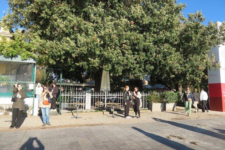Venice's Castello District: A Self-Guided Audio Tour