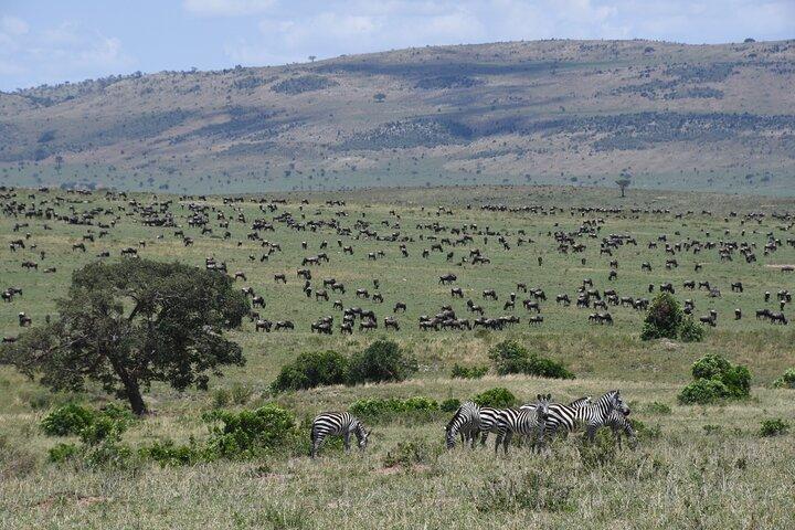 Tour di 5 giorni al Lago Naivasha, al Lago Nakuru e alla Riserva Masai Mara