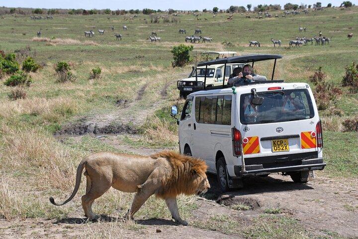 Tour di 5 giorni al Lago Naivasha, al Lago Nakuru e alla Riserva Masai Mara