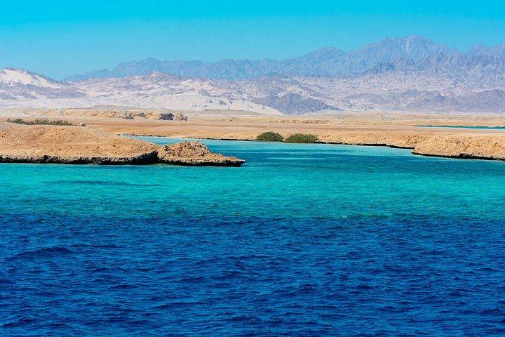 Ras Mohammed & White Island : Snorkeling, immersioni facoltative e pranzo