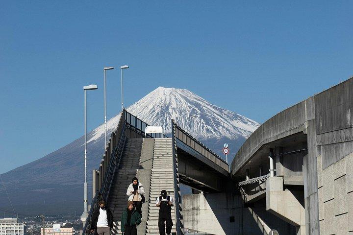 英語ドライバー付き東京発富士山プライベート日帰りツアー