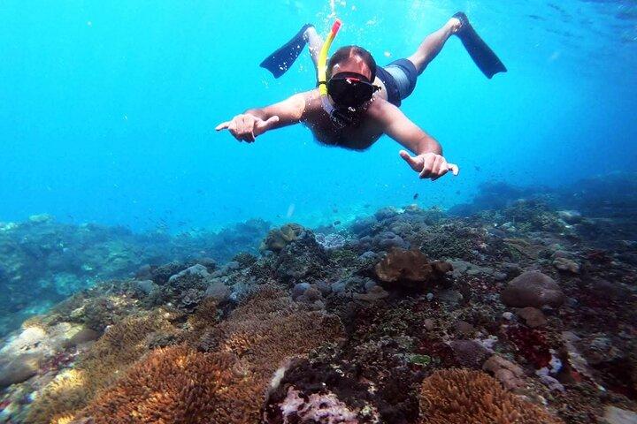 Nusa Penida 4 Spot Snorkeling con Manta e Tour dell'Isola