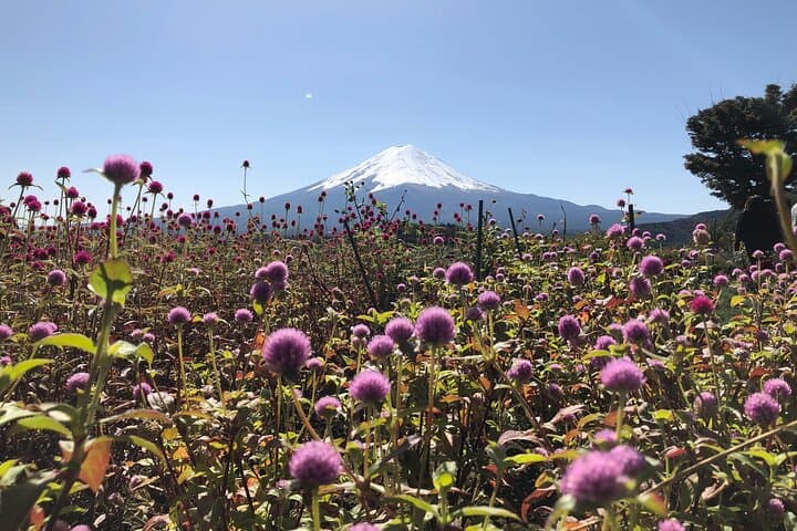 Mount Fuji Full Day Sightseeing Tour from Tokyo
