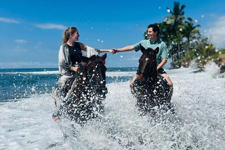 Bali Paseos a caballo en la playa de saba