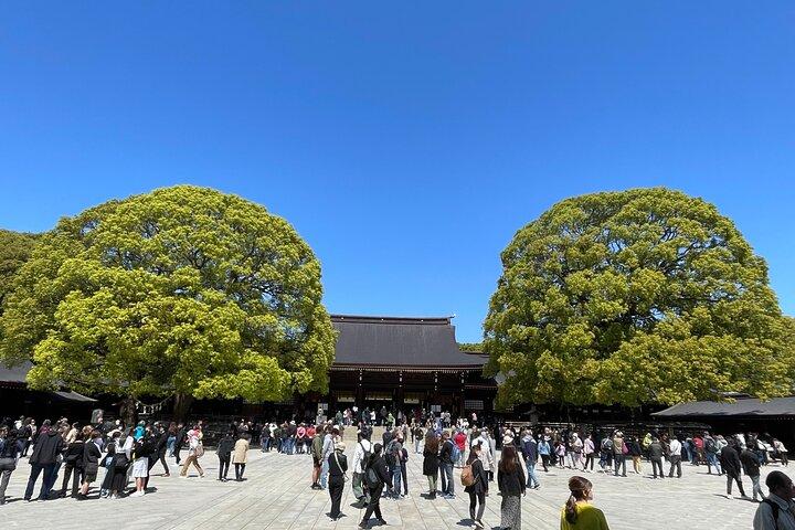 "Enjoy Tokyo Tour" Harajuku Meiji-jingu & Delicious Sake Tasting