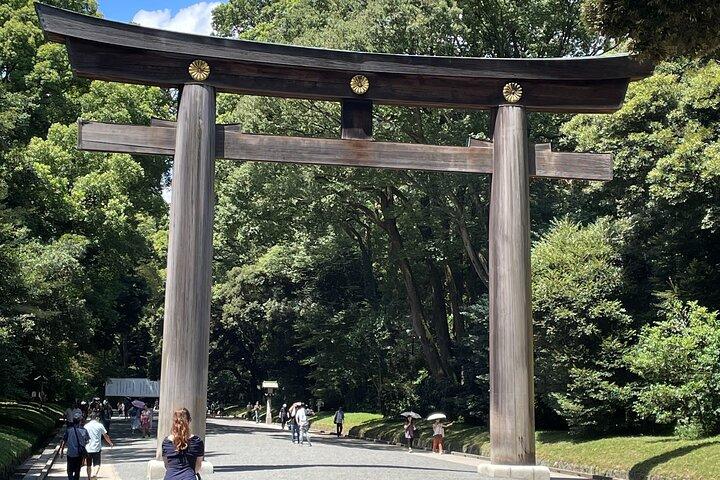 "Enjoy Tokyo Tour" Harajuku Meiji-jingu & Delicious Sake Tasting