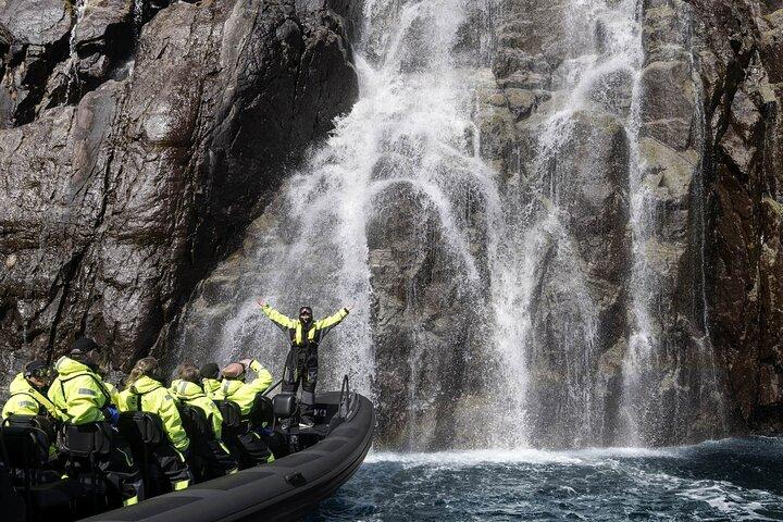 Lysefjord RIB Safari från Stavanger