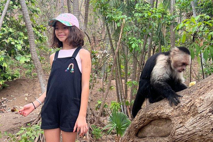 Monkey Crocodile Sloths og strandoplevelse