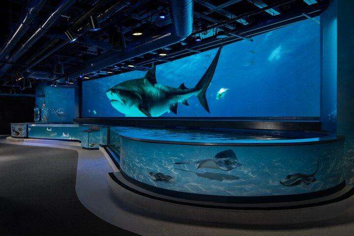 Audubon Aquarium e Insectarium Biglietto
