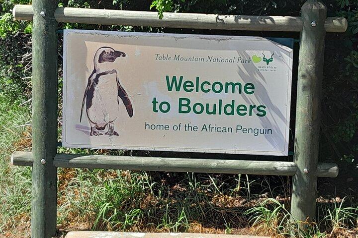 半日ペンギンボルダーズビーチとケープポイント小グループツアー