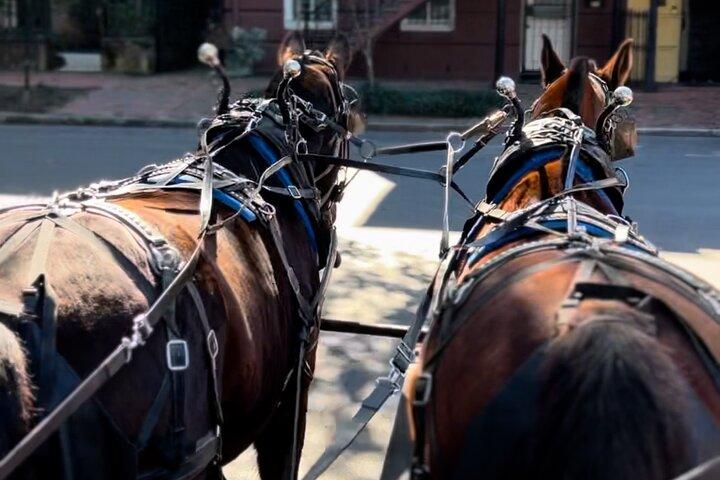 馬車による昼間のグループ解説付き歴史概要ツアー