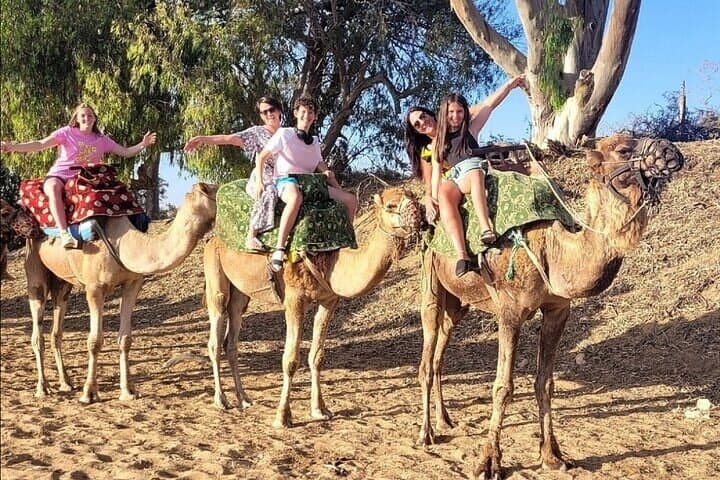 Camel Ride in Agadir & options at Sunset & Barbecue with Couscous