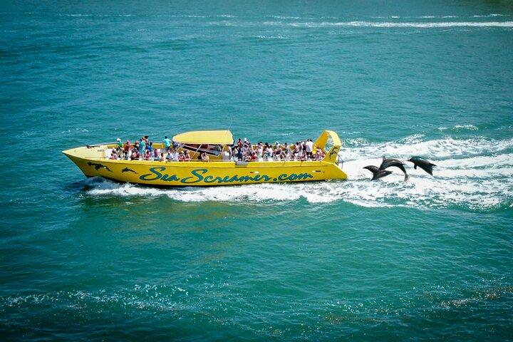 Sea Screamer L'unico motoscafo di Clearwater per l'osservazione dei delfini