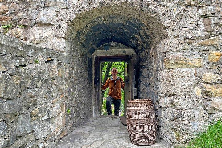 サラエヴォ : ボスニアの城ヴランドゥク、テシャニ、スレブレニクへの日帰り旅行