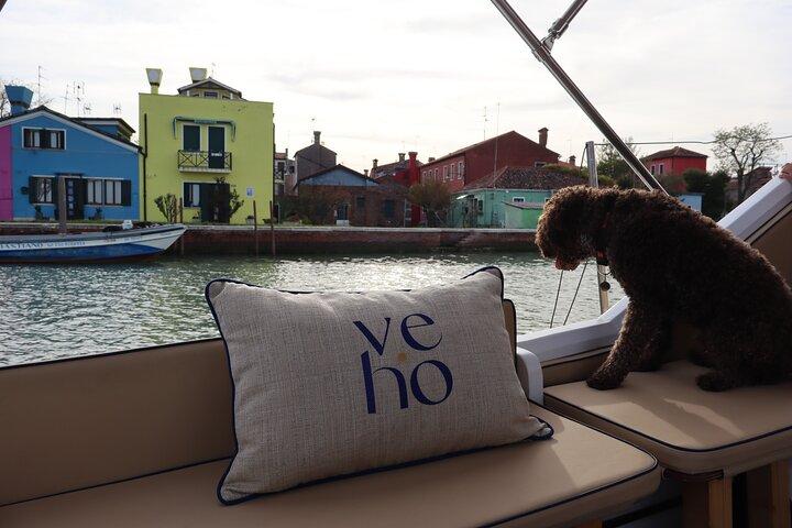 Tour 6 ore Murano, Burano e Torcello in barca privata