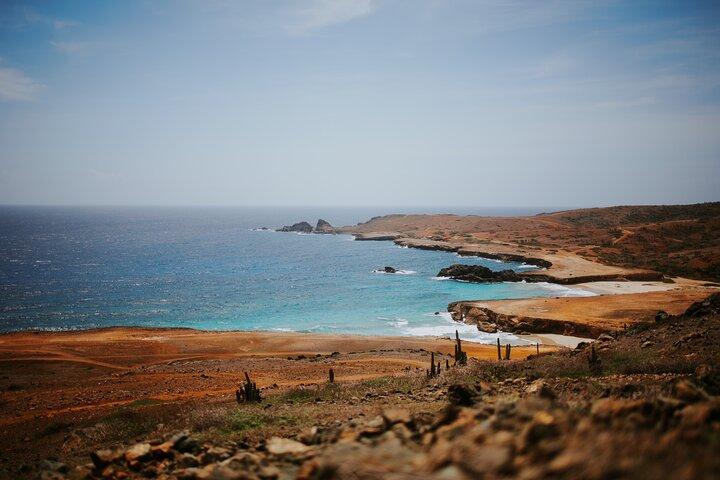 Aruba Small-Group UTV Adventure|Visite privée hors route Max 4 UTV
