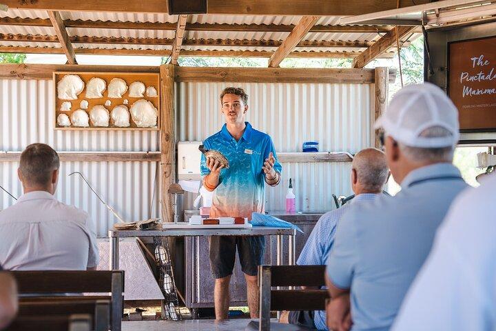 Willie Creek Pearl Farm Tour, Helikoptervlucht & Lunch