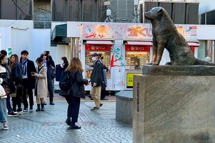 渋谷、原宿、お台場、中野を巡るツアー（スペイン語または英語）