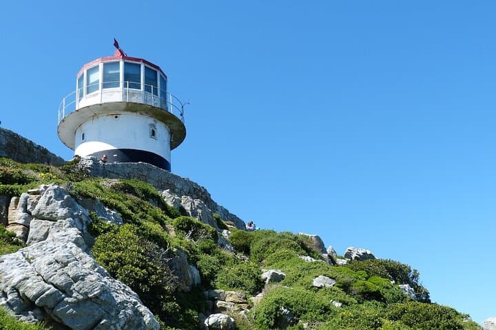 Cape Point and Boulder's Penguins Full Day Tour