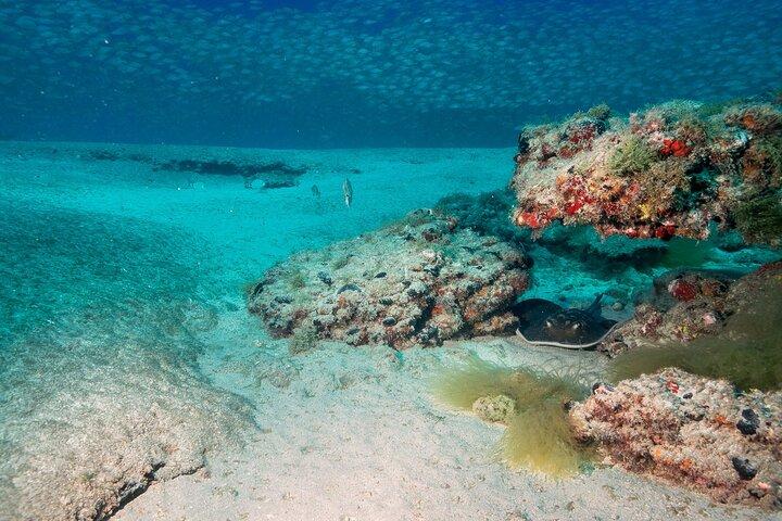Scuba Diving Experience i Arguineguin og Puerto Rico