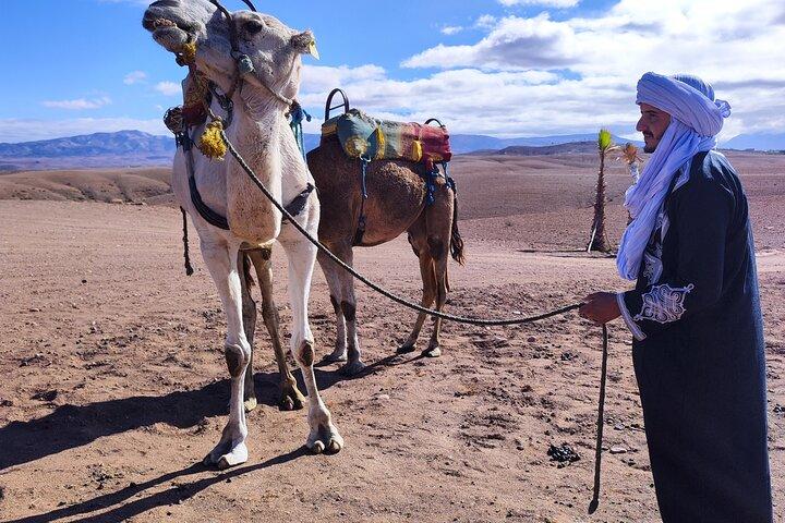 Spettacolo con cena nel deserto di Marrakech e giro in cammello al tramonto - Autentico