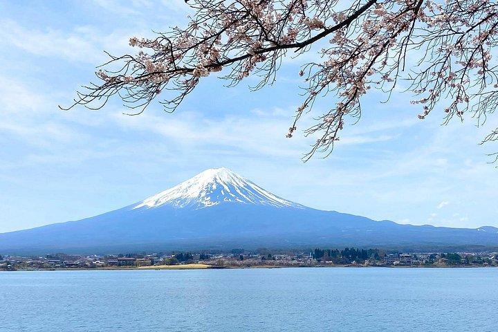 高級車で行く富士山への 1 日プライベート ツアー