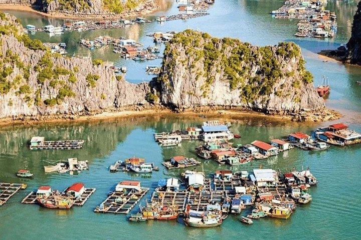 8 - 日ベトナム旅程l必見の目的地|2026 - 2027