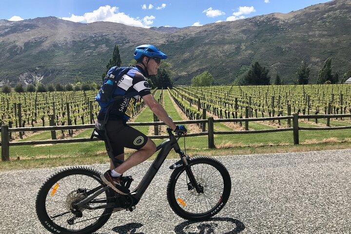 Tour guiado del vino en bicicleta eléctrica Paseo a los viñedos