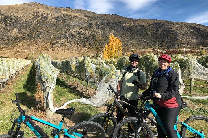 Tour guiado del vino en bicicleta eléctrica Paseo a los viñedos