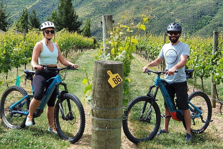 Tour guiado del vino en bicicleta eléctrica Paseo a los viñedos