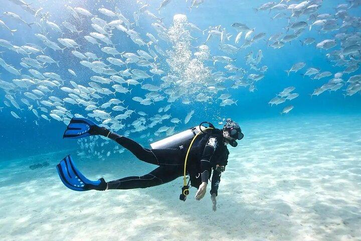 Side /Manavgat : Scuba Diving For Beginners w/ Lunch Transfer