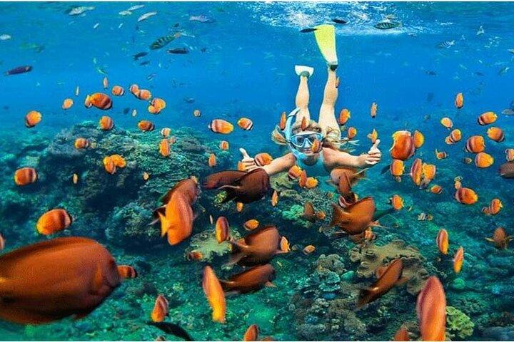 Excursión a Nusa Penida con snorkel todo incluido