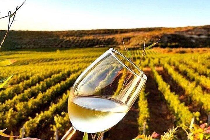 Scopri Blue Eye, Lekuresi Castle e Gusta il tradizionale vino albanese