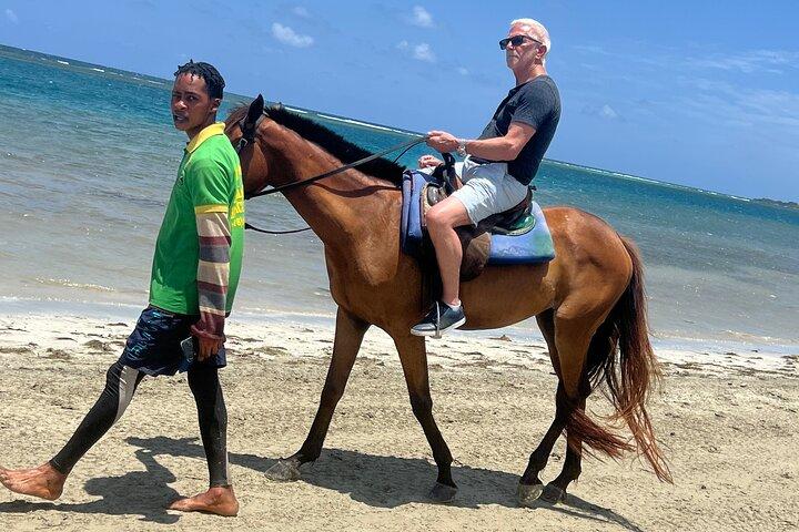 Cavalgadas a cavalo & Bluehole Secret Falls de Montego Bay