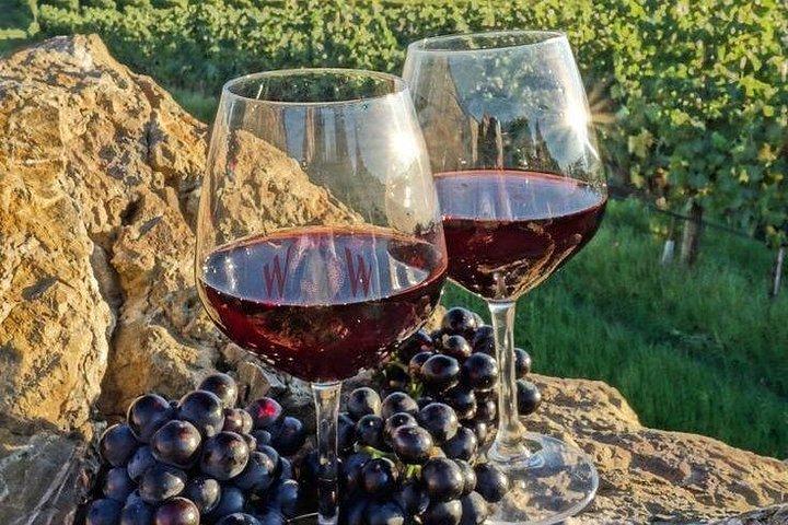 ケープタウンから： Franschhoek & Stellenboschワインテイスティングツアー