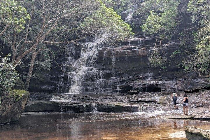 Koala & Kangaroos Experience, cascate e viaggio panoramico in treno