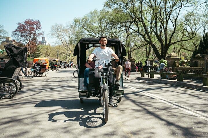 Private Central Park Guided Pedicab Tour
