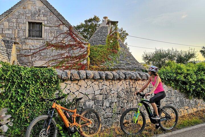 E-bike Guided tour Locorotondo and Alberobello, wine in vineyard