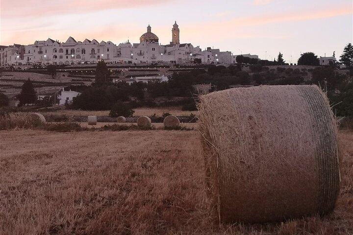 E-bike Guided tour Locorotondo and Alberobello, wine in vineyard