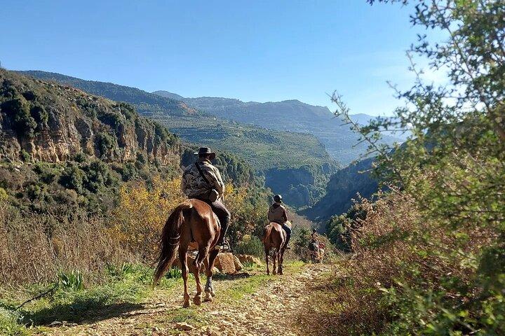 Reiten in den Libanon-Bergen ab Beirut
