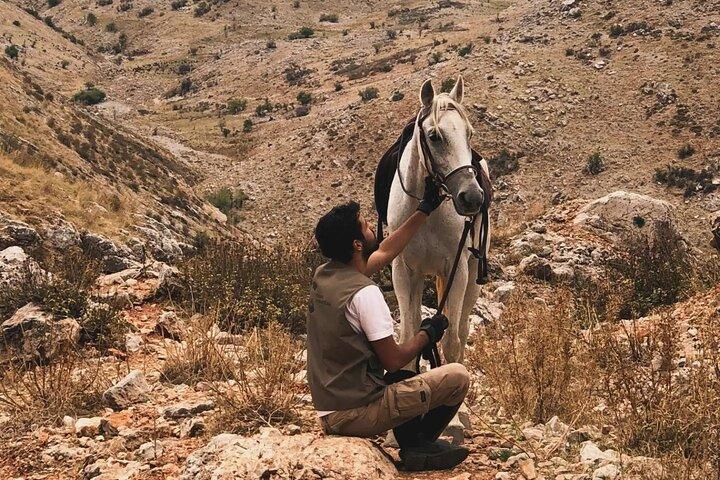Reiten in den Libanon-Bergen ab Beirut